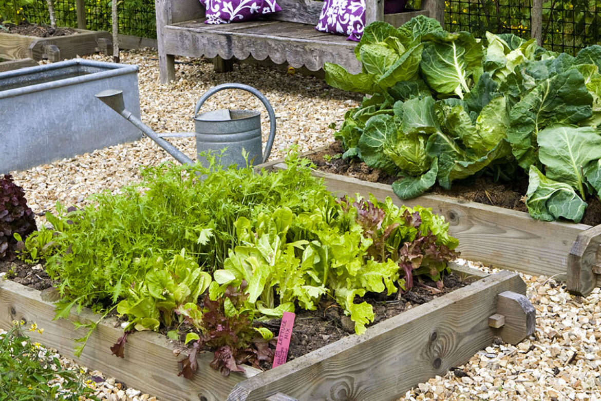 Comment faire un vivier dans son jardin ?