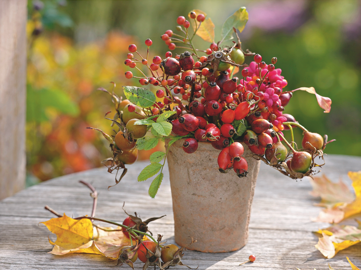 Comment faire une composition d'automne ?