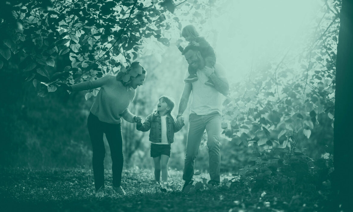 Comment fonctionne le système hydroponique ?