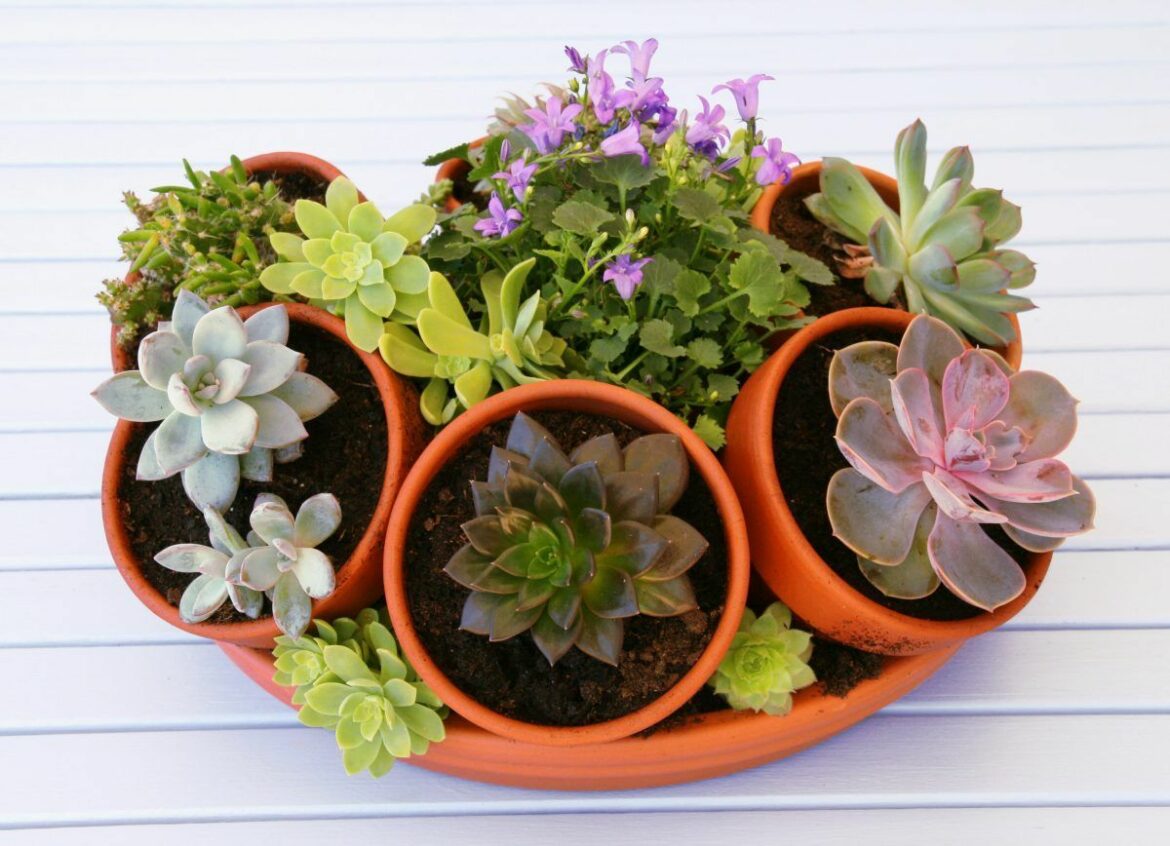 Comment garder une composition florale ?