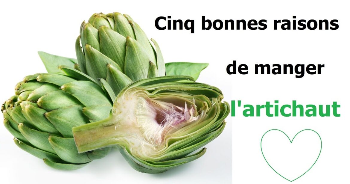 Comment l'artichaut agit sur le foie ?