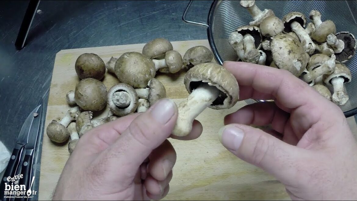 Comment manger les champignons de Paris ?
