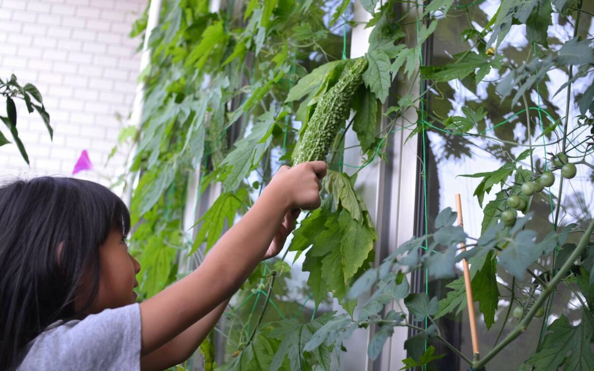 Comment mesurer son balcon ?