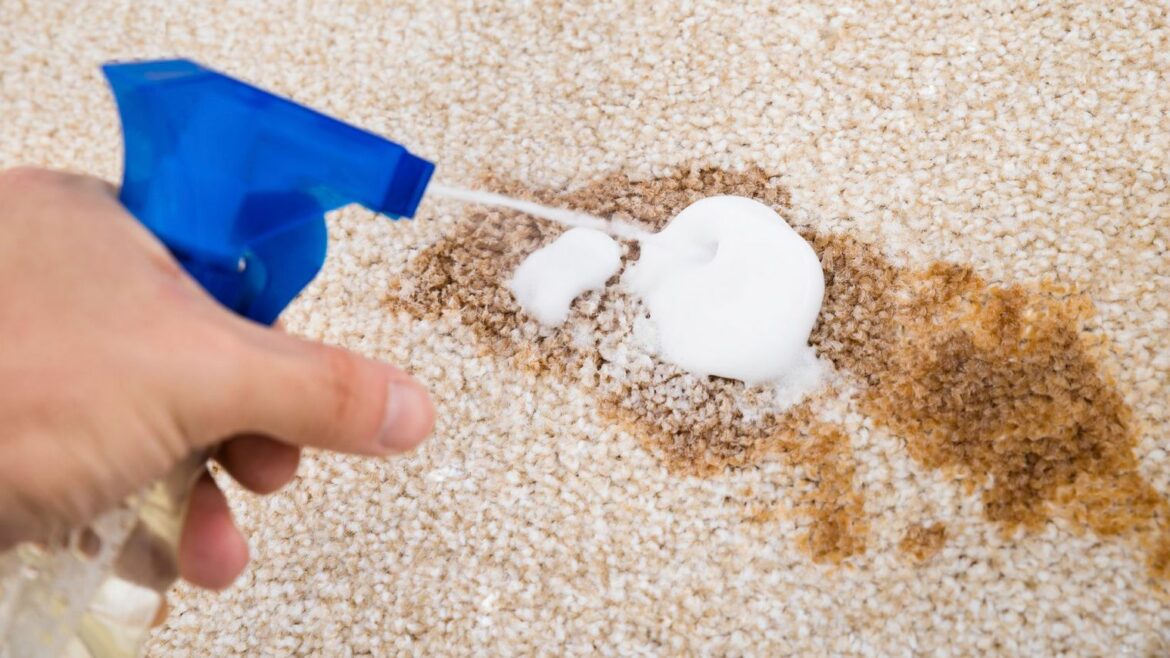 Comment nettoyer de la laine ?