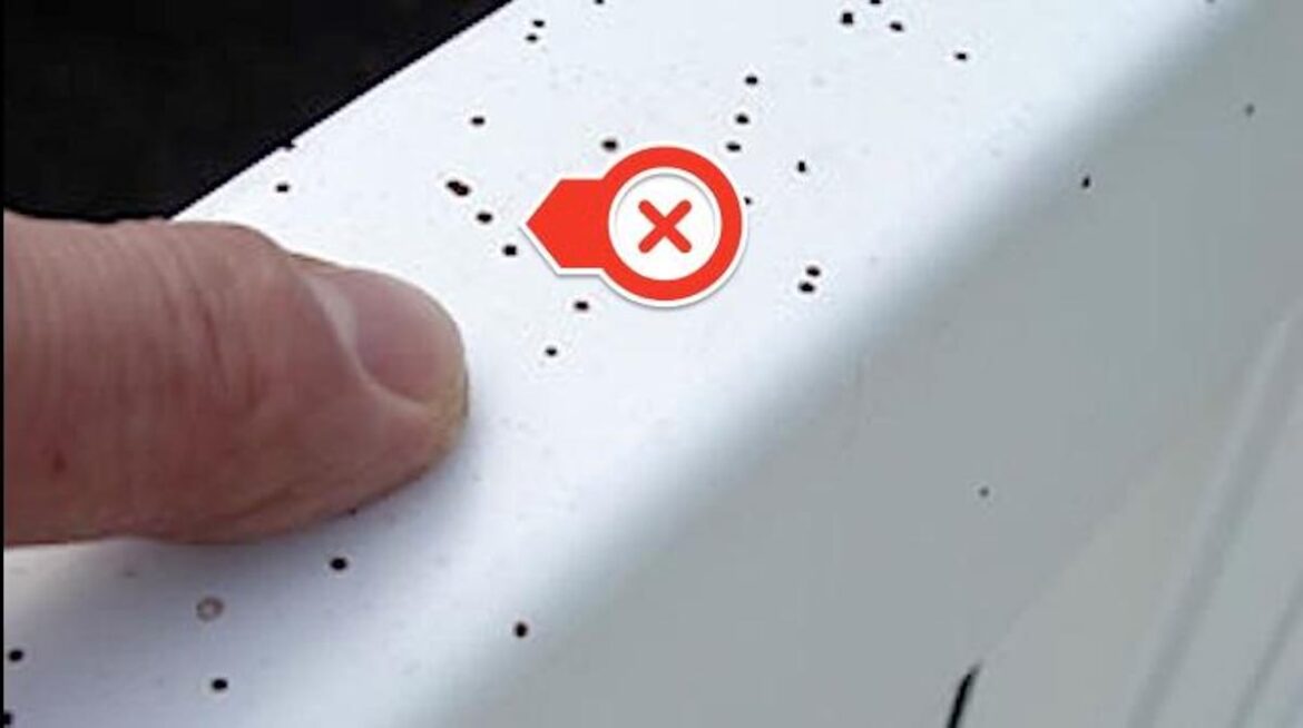 Comment nettoyer les crottes de mouches sur un plafond blanc ?