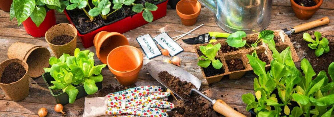 Comment obtenir des plantes gratuitement ?
