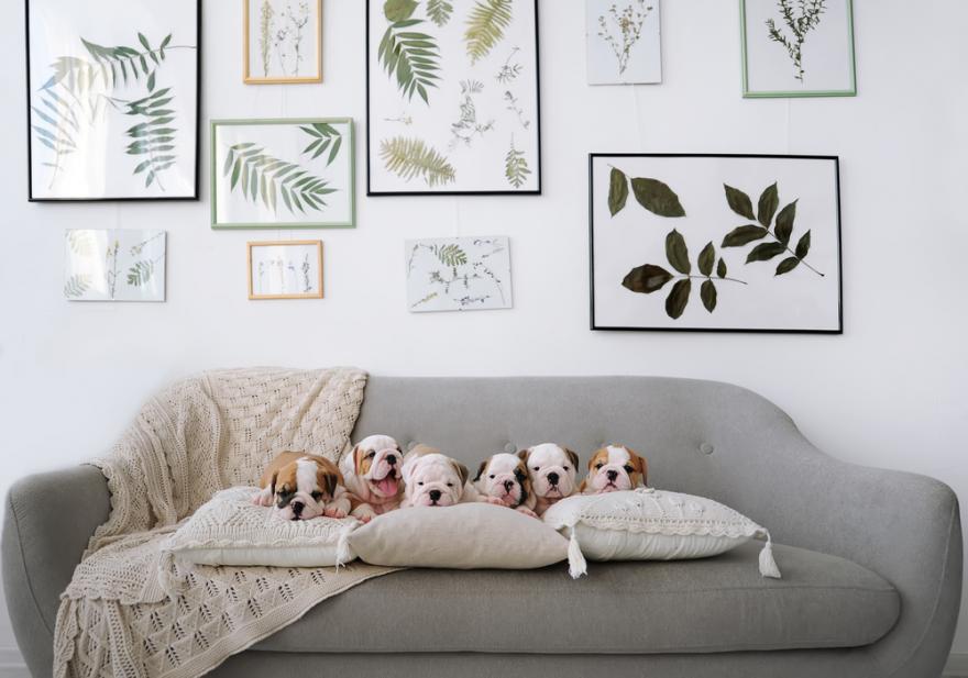 Comment placer un tableau Audessus d