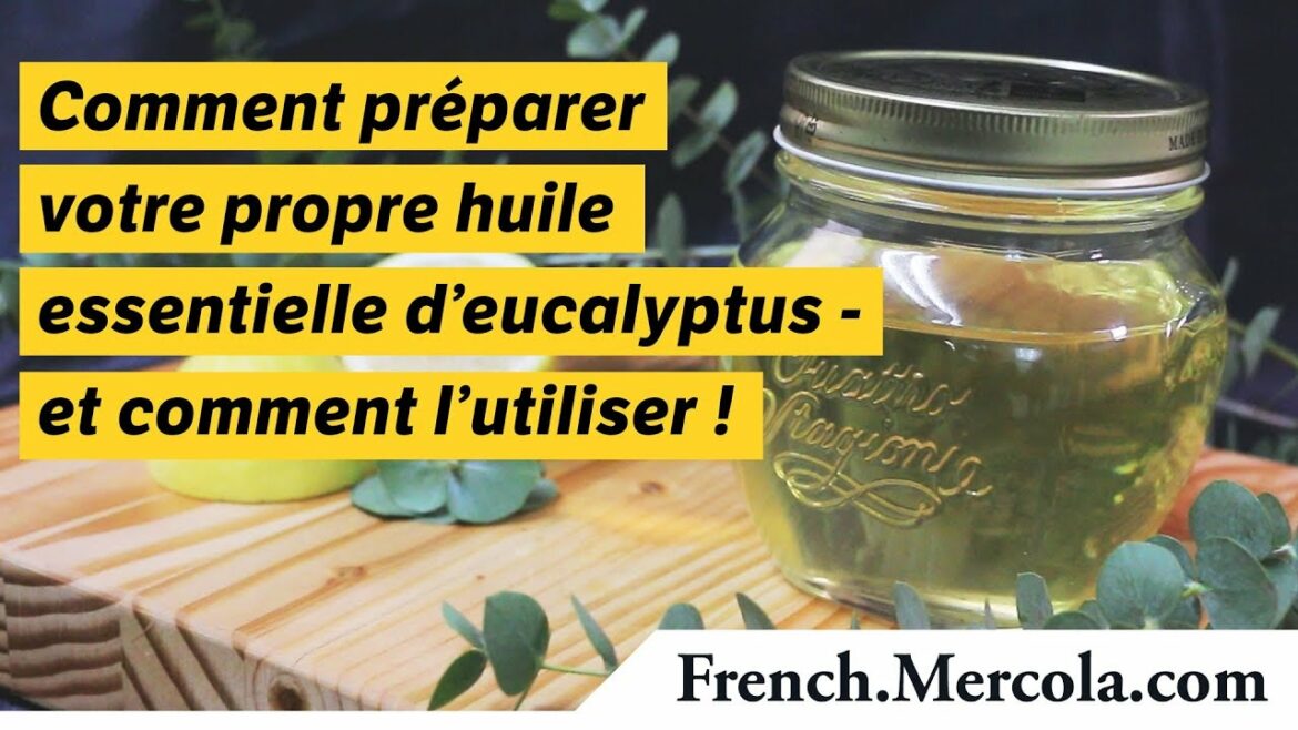 Comment préparer l'huile d'eucalyptus ?