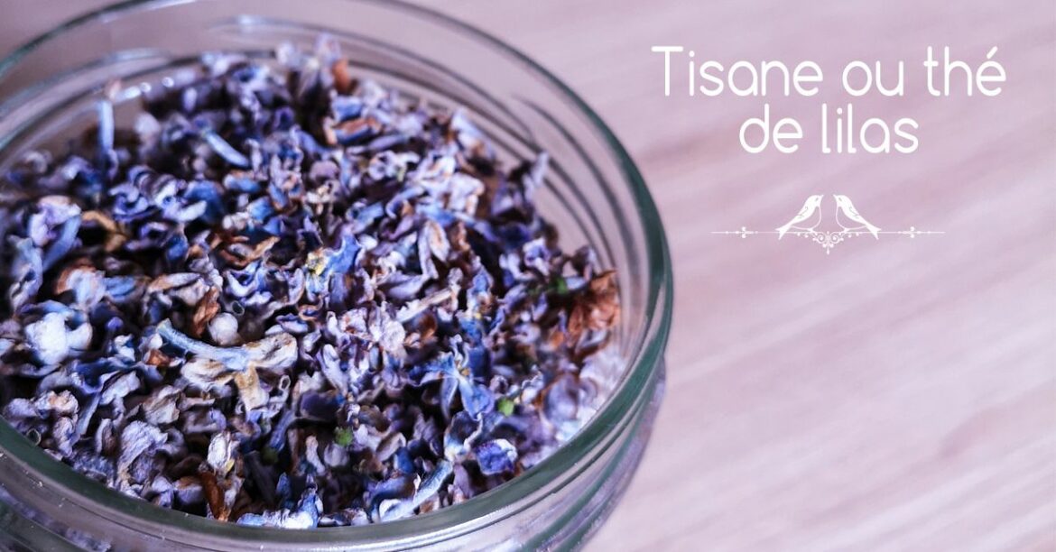 Comment préparer une tisane d'anis vert ?