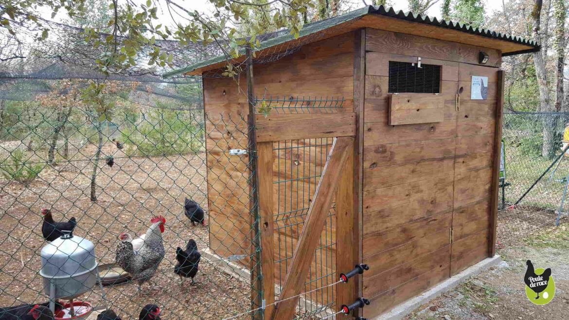 Comment protéger le toit d'un poulailler ?