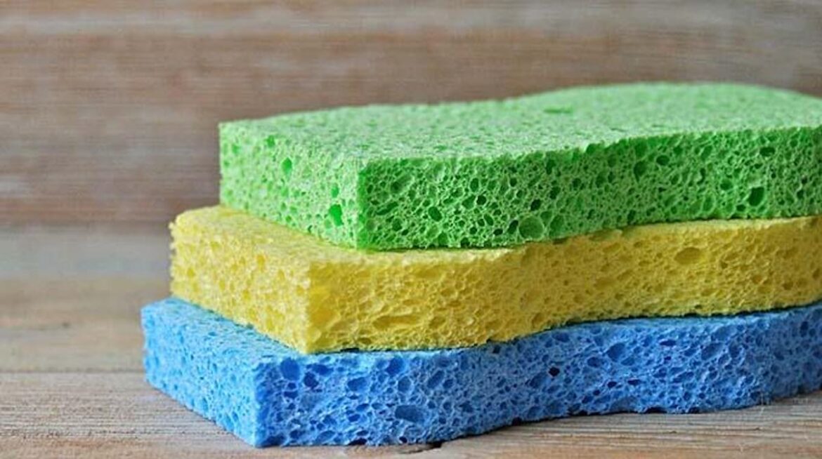 Comment redonner vie à une éponge ?