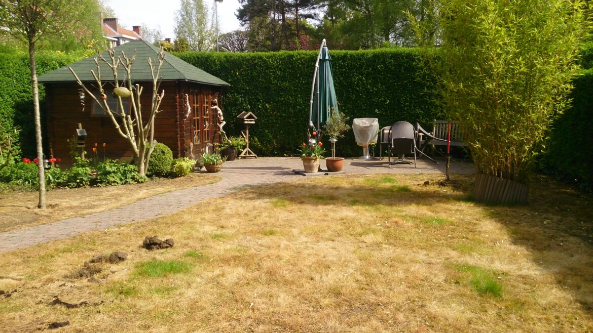 Comment refaire une pelouse sur une ancienne ?