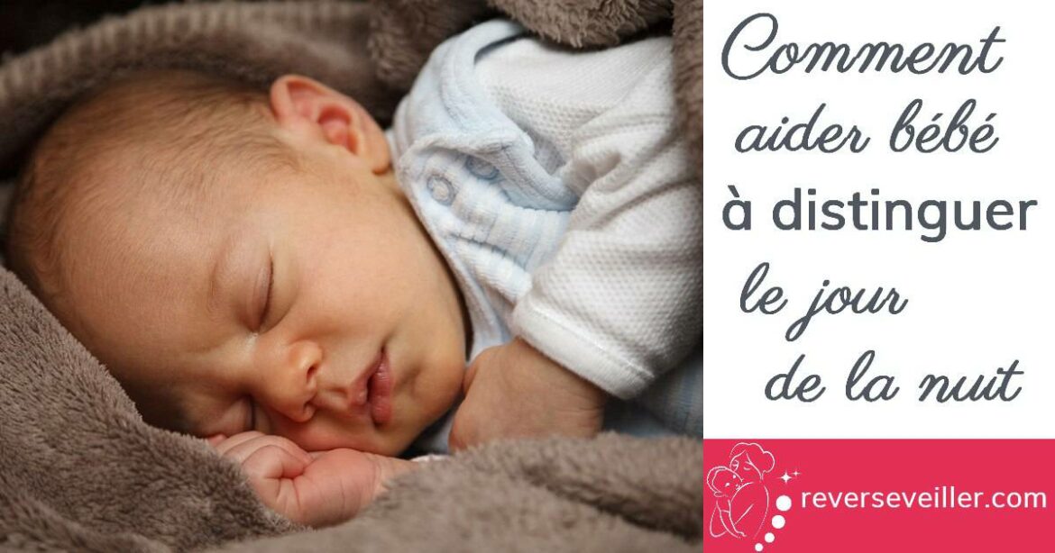 Comment s'appelle le bébé d'un mammouth ?