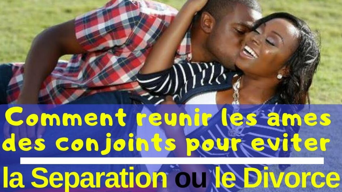 Comment sauver mon calathea ?