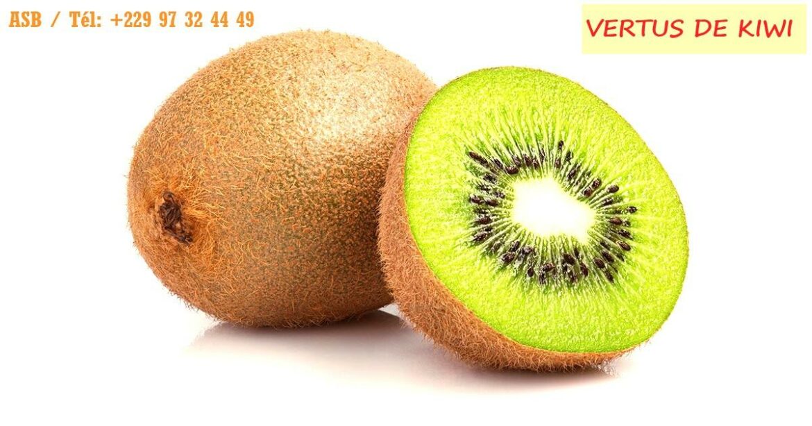 Comment savoir si un kiwi est autofertile ?