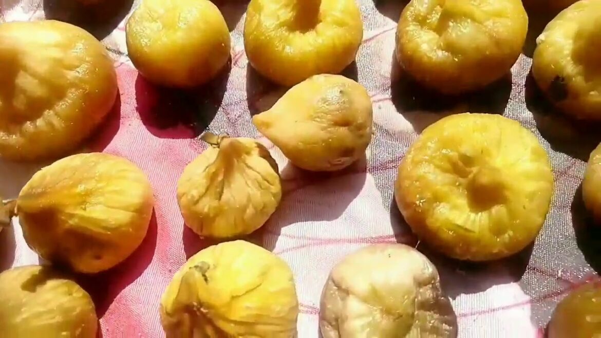 Comment sécher des figues naturellement ?