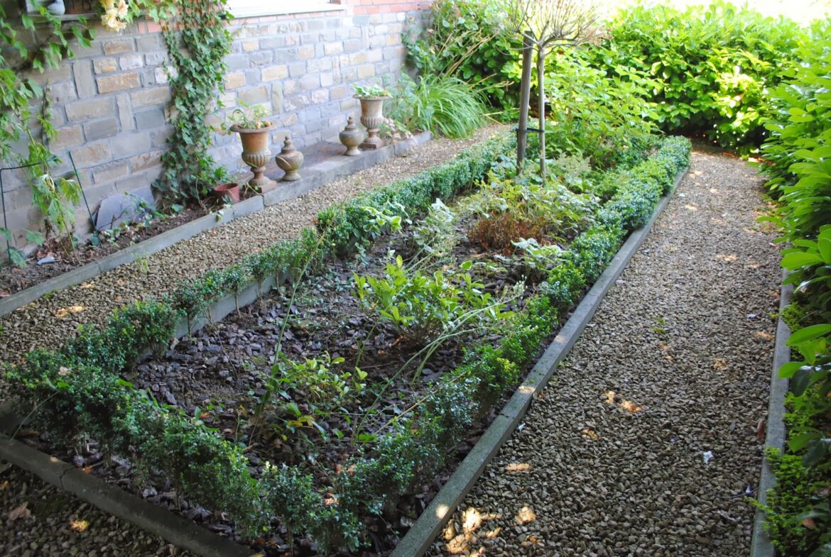 Comment soigner bougainvillier avec feuilles malades ?