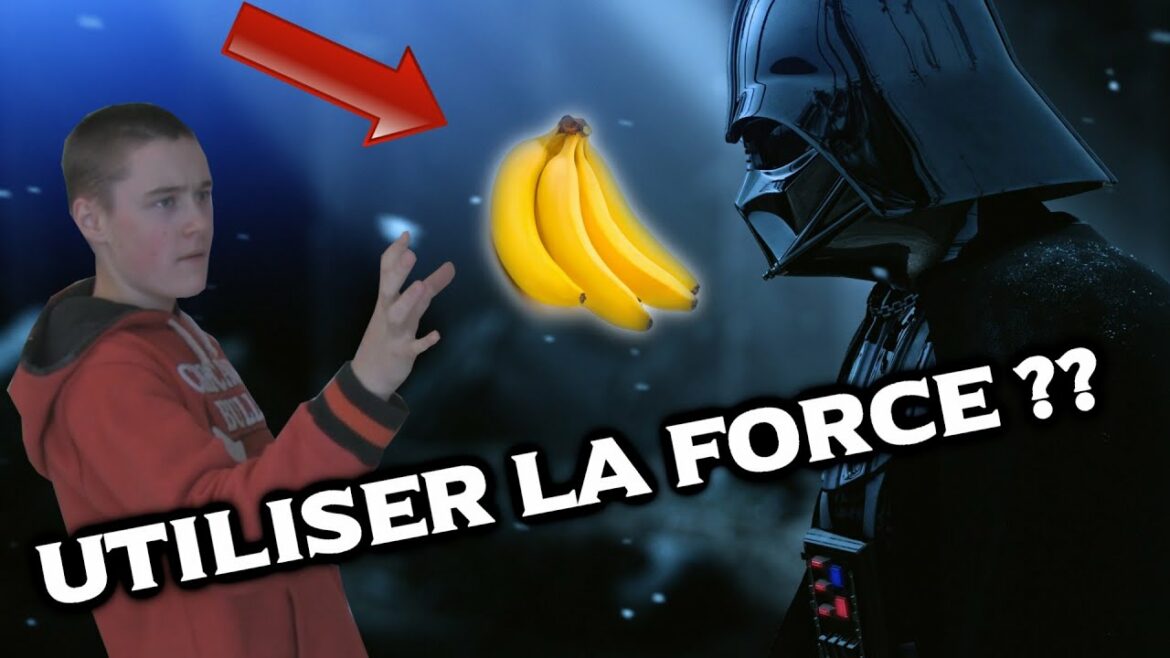 Comment utiliser la livèche ?