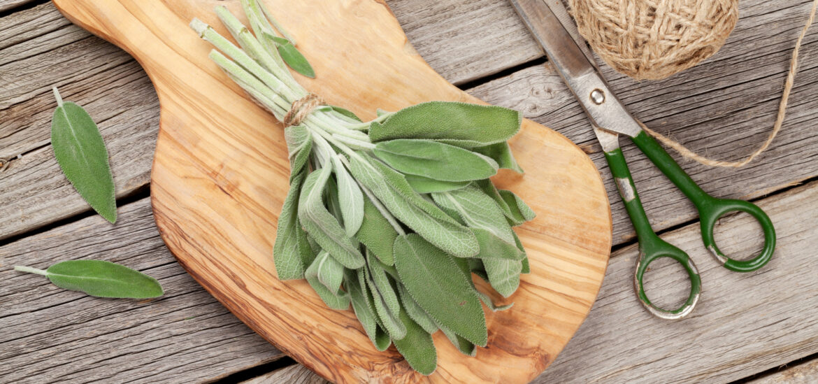 Comment utiliser la sauge pour purifier la maison ?