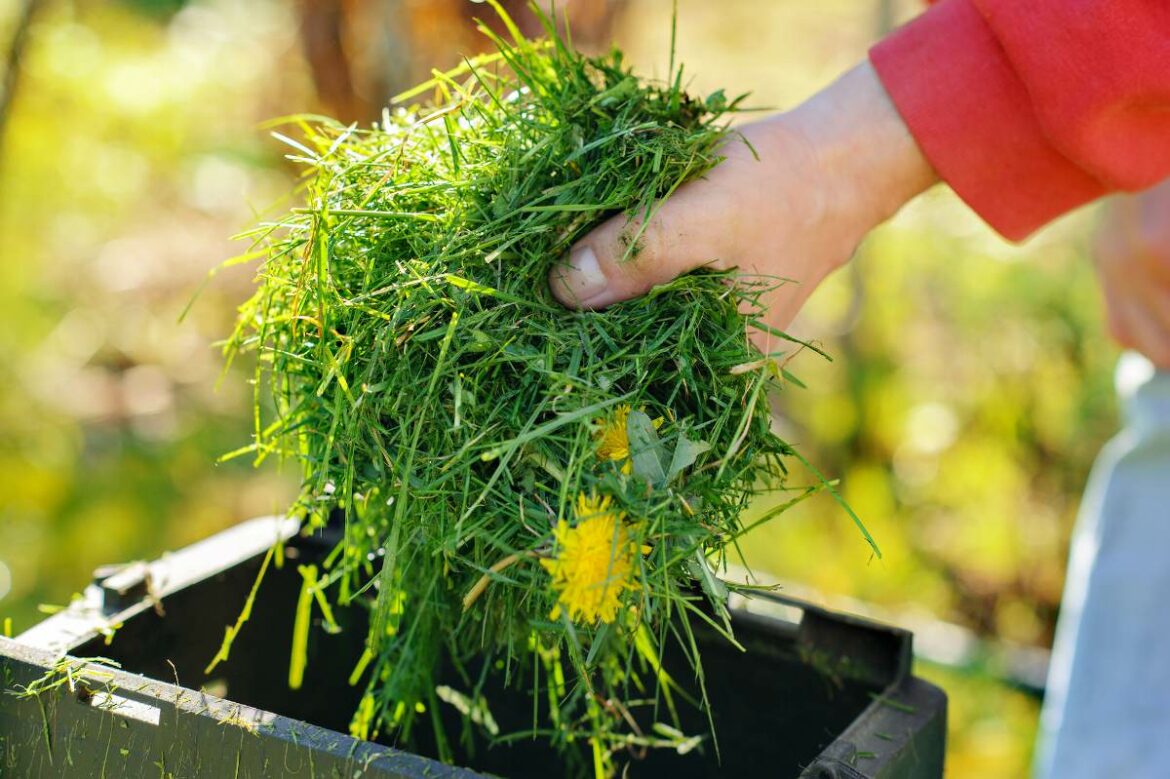 Comment utiliser la tonte de pelouse ?