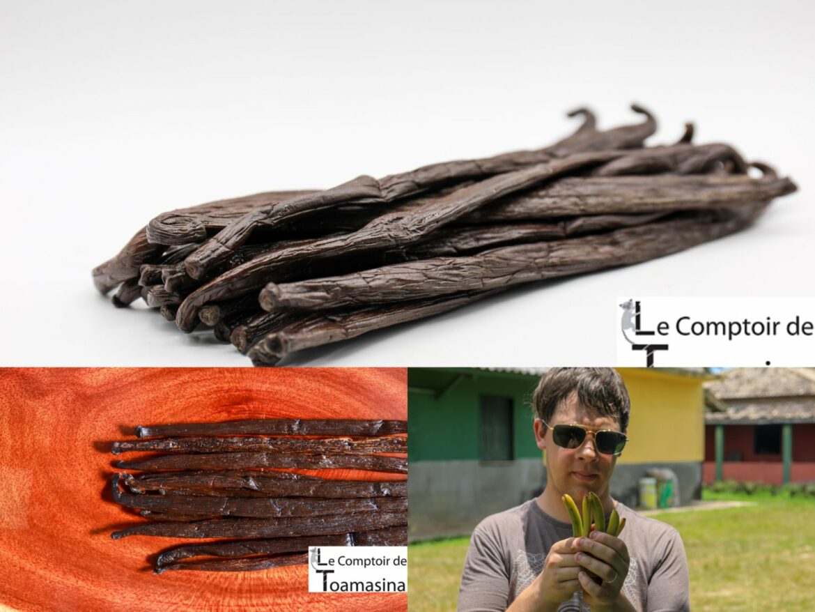 Comment utiliser l'estragon sèche ?