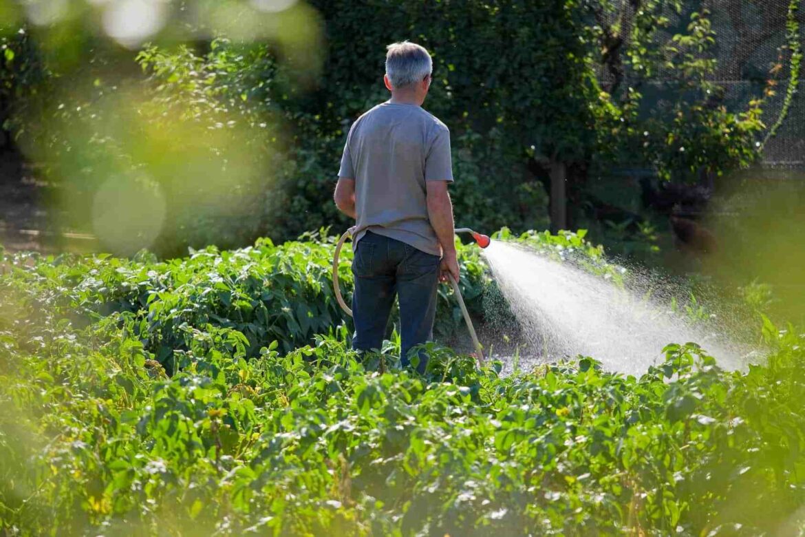 Est-ce que l'eau de pluie est buvable ?