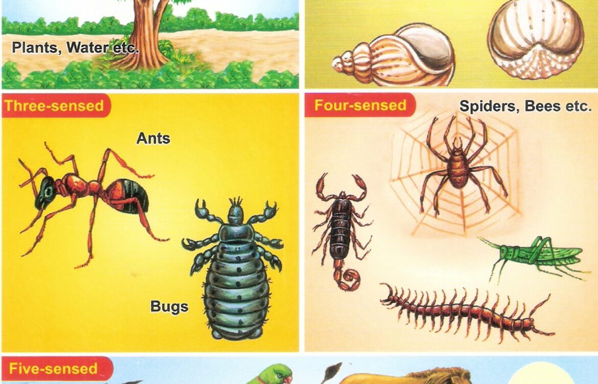 Est-ce que les champignons sont des êtres vivants ?