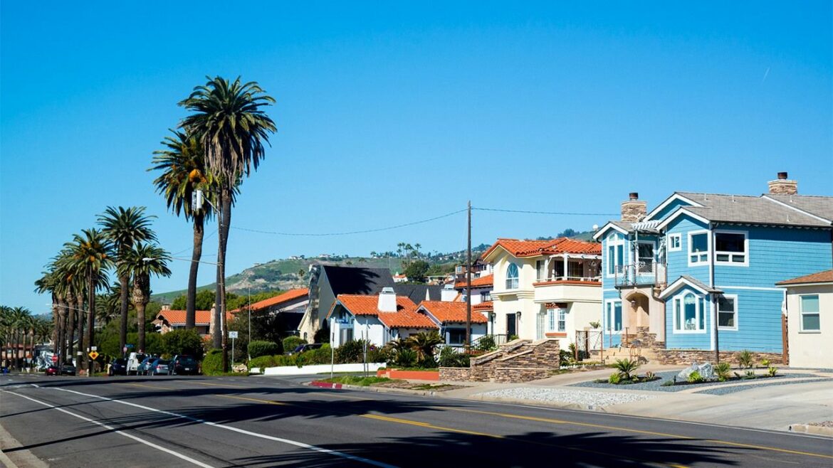 Où habitent les coccinelles ?