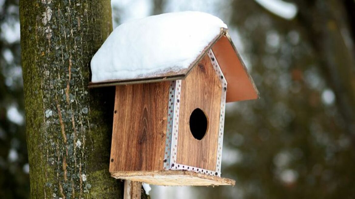 Où installer les nichoirs ?