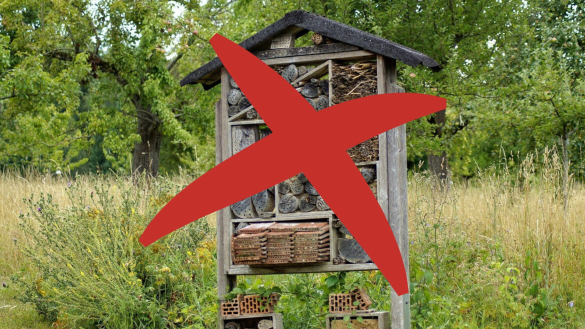 Où installer un hôtel pour insectes ?