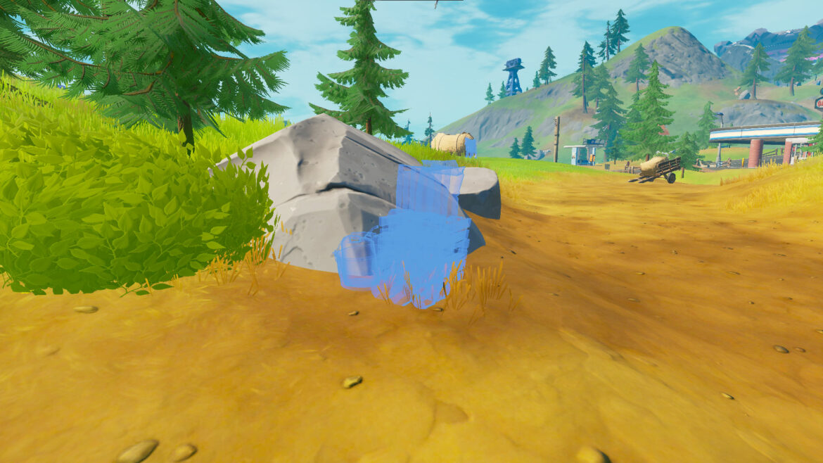 Où placer la crassula ?