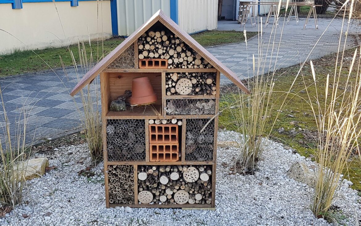 Où placer les hôtels à insectes ?