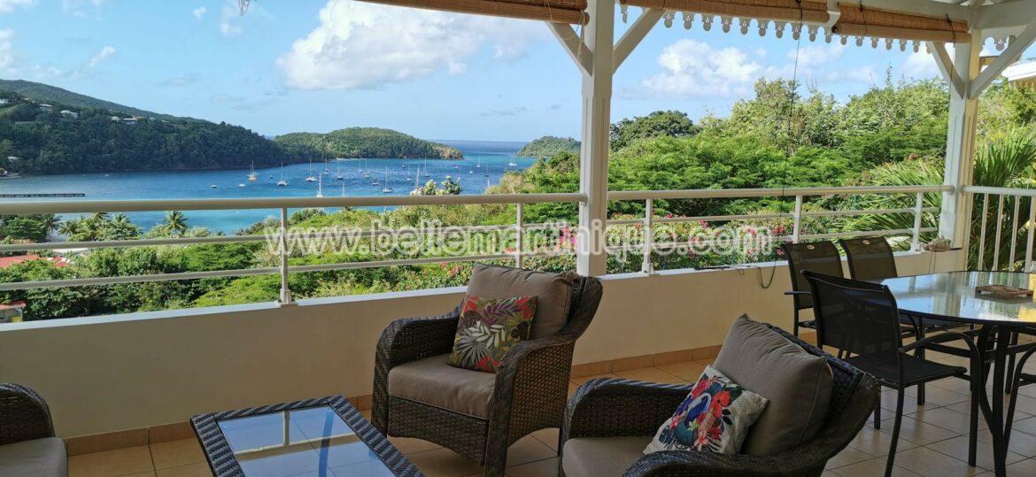 Où pousse les manguiers ?