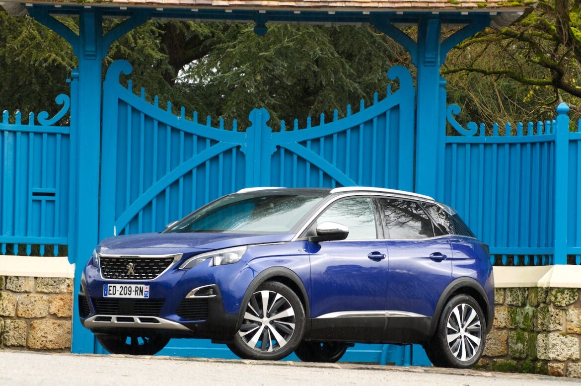 Où se procurer un chaton ?