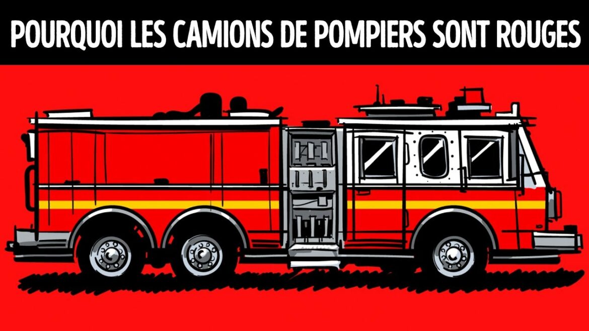 Pourquoi les poinsettia sont rouge ?