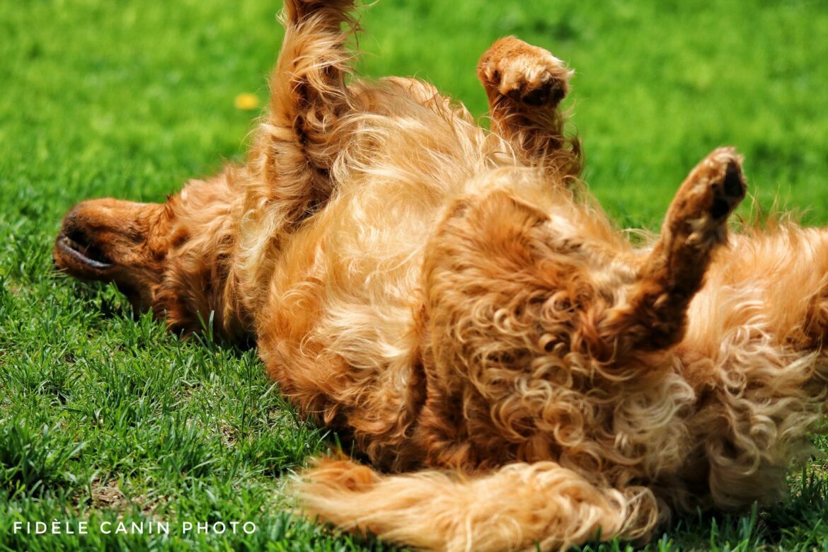 Pourquoi mon sol ne sèche pas ?