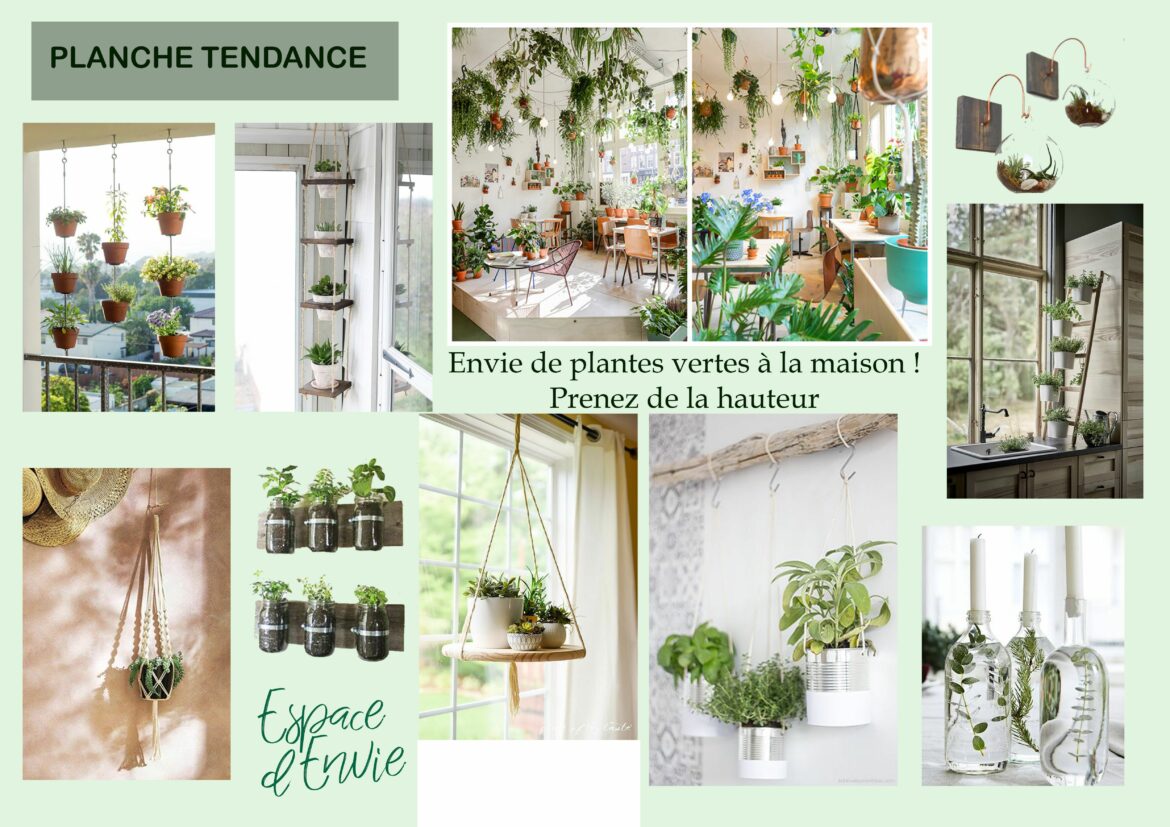 Quand aller chercher du bois flotté ?