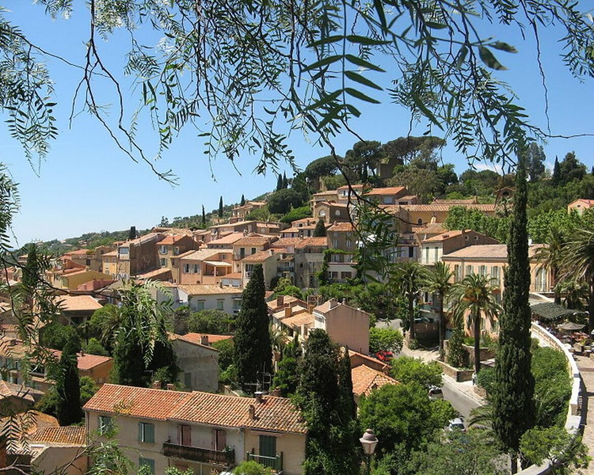 Quand fleurissent les mimosas à Bormes-les-mimosas ?