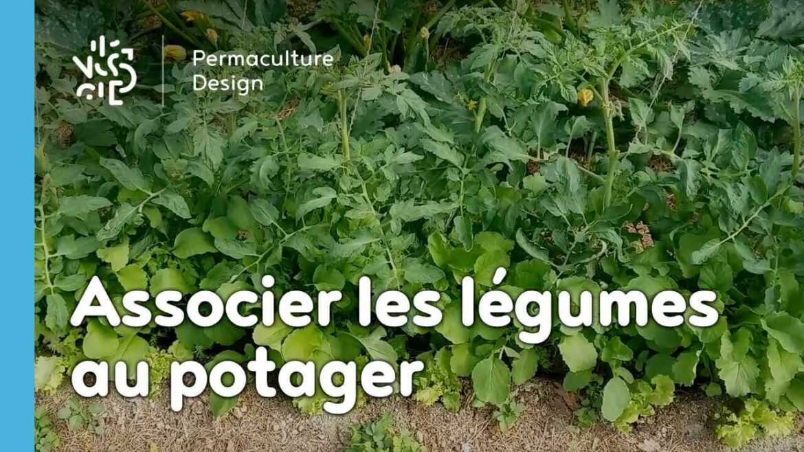 Quand planter en permaculture ?