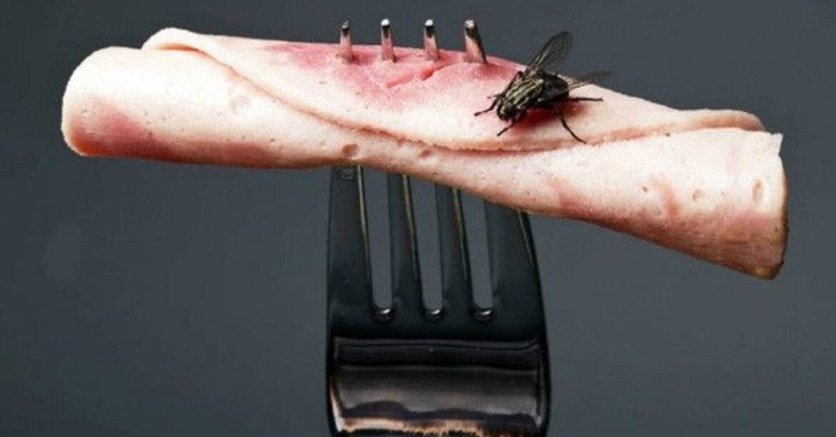 Quel aliment attire le plus les mouches ?