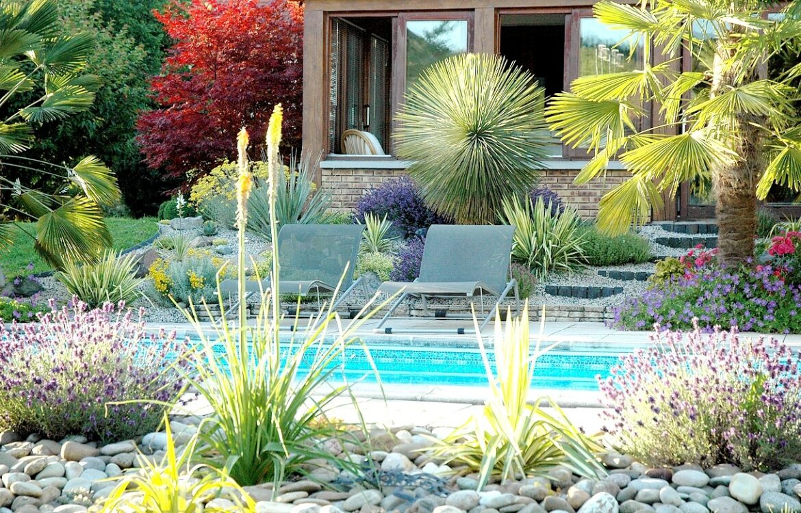 Quel arbre pour une rocaille ?