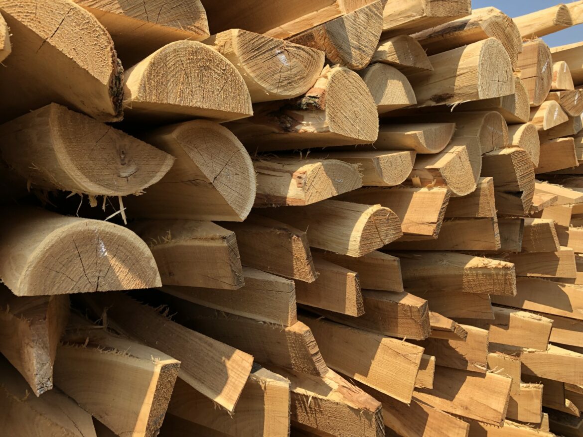 Quel bois est l'Acacia ?