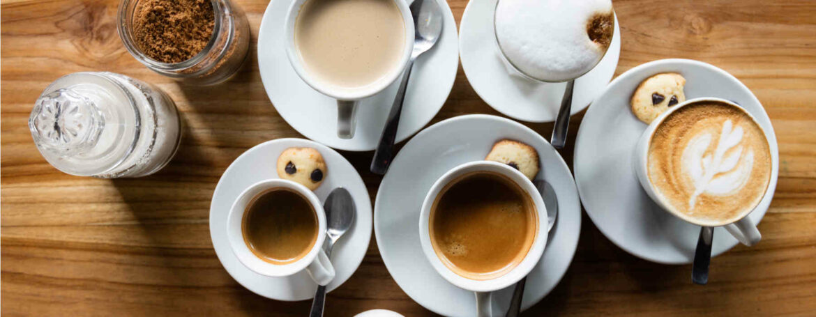 Quel broyeur végétal choisir ?