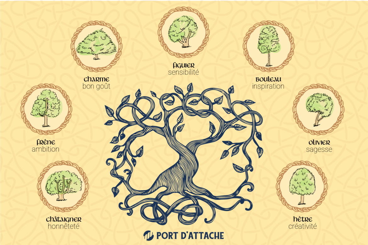 Quel est votre signe astrologique celtique ?