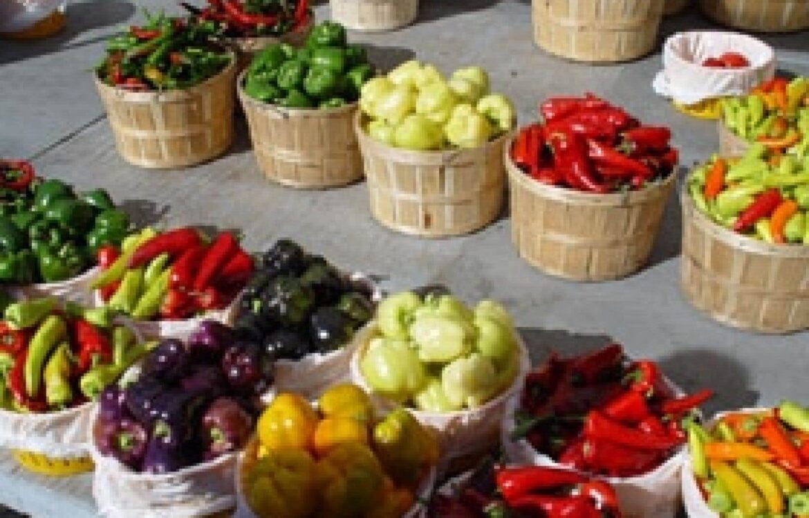 Quel fruit manger quand on a la nausée ?