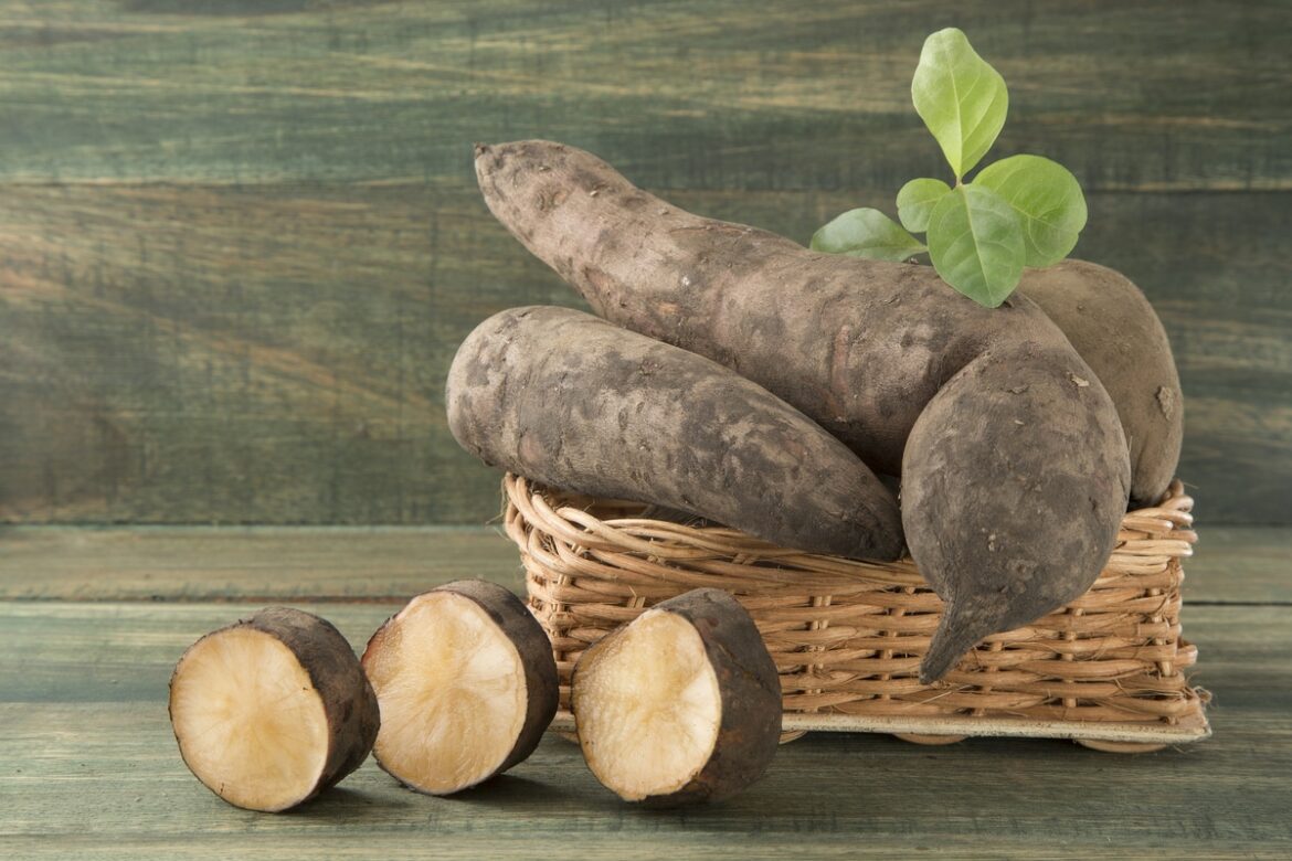 Quel goût a le yacon ?