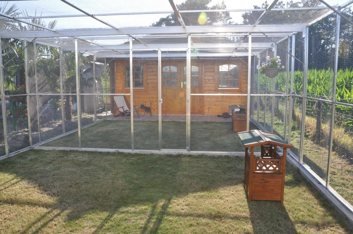 Quel grillage pour enclos chat ? Housekeeping Magazine Idées Décoration, Inspiration