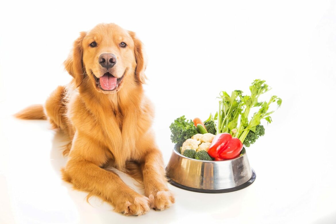 Quel légumes ne pas donner au chien ?