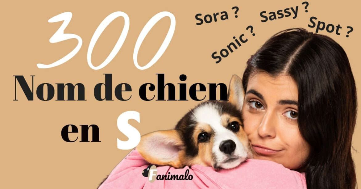 Quel nom pour un chien ne en 2021 ?