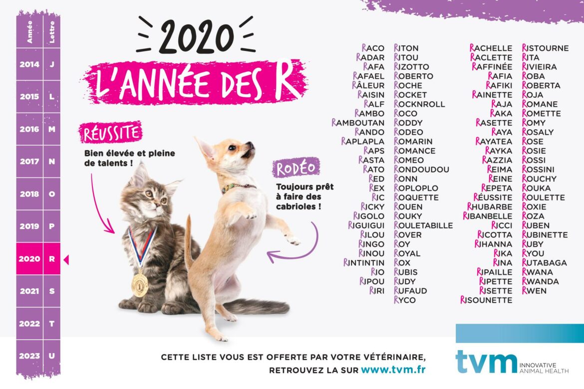 Quel nom pour un chien ne en 2022 ?